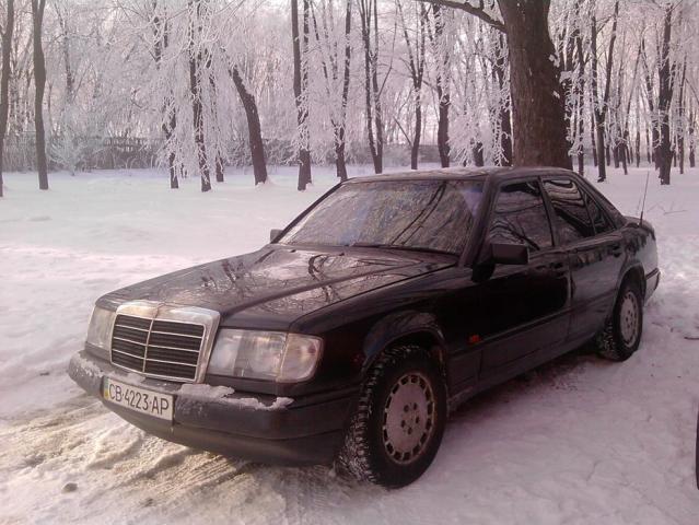 P040111_11.55.jpg