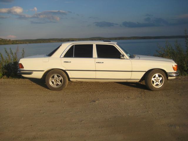 ____________229.jpg