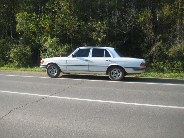 ____________207.jpg