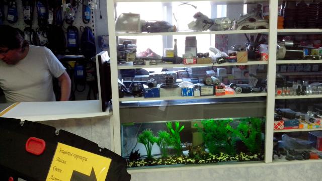 аква_114137.jpg