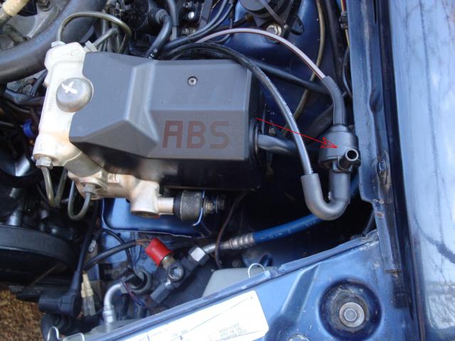 DSC00088A.JPG