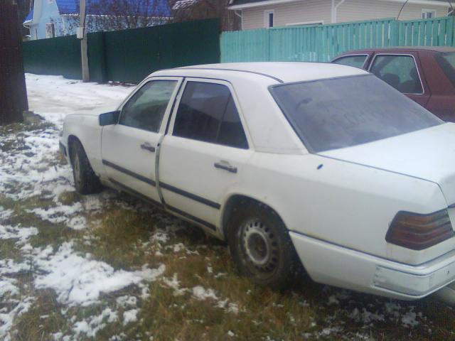 DSC00170.JPG