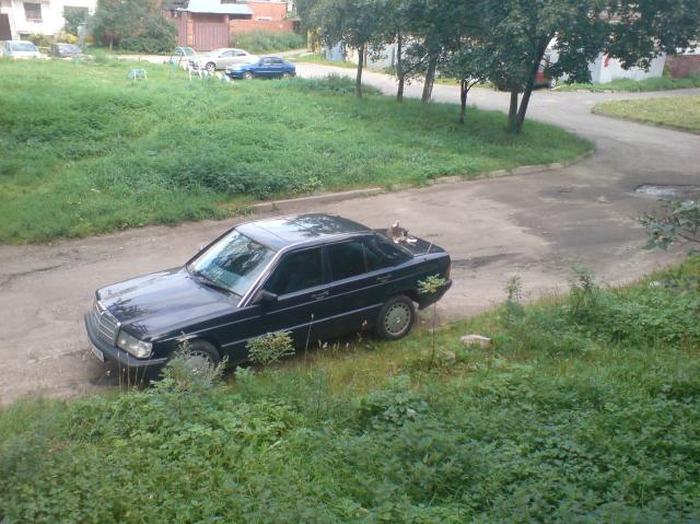 88cc610f5e058f38_large.jpg