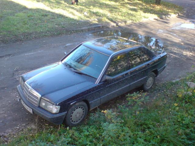 88cc59a91b315bd0_large.jpg