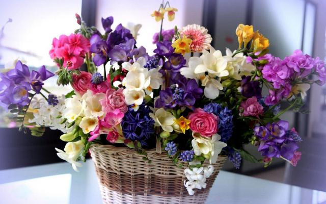flower-basket-on-a-table-flower-hd-wallpaper-1920x1200-7960.jpg