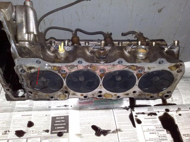 ______20112011570.jpg