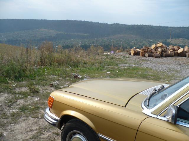 P1060920.JPG