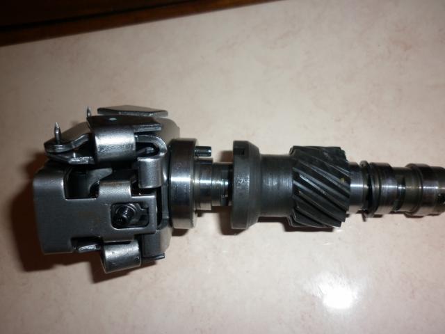 P1000915.JPG