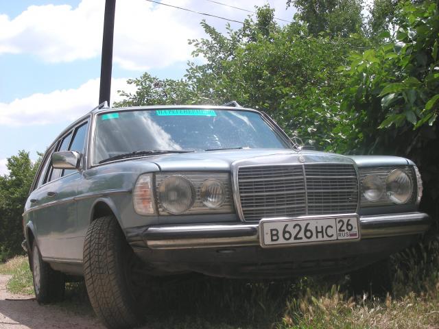 Old_Merin_005.jpg2.jpg