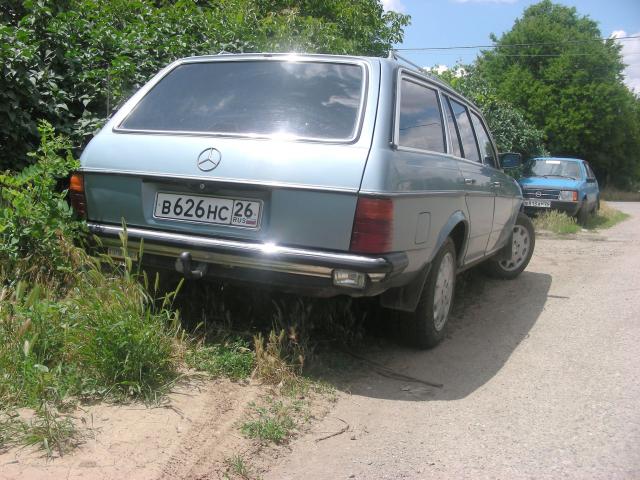 Old_Merin_004.jpg2.jpg