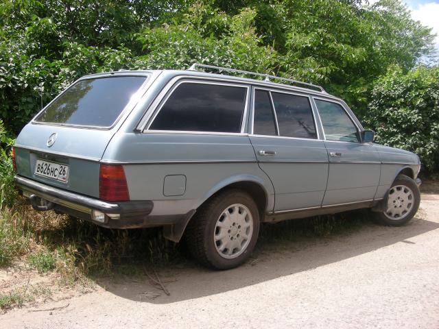 Old_Merin_003.jpg
