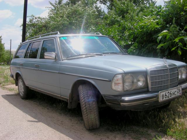 Old_Merin_001.jpg__2.jpg