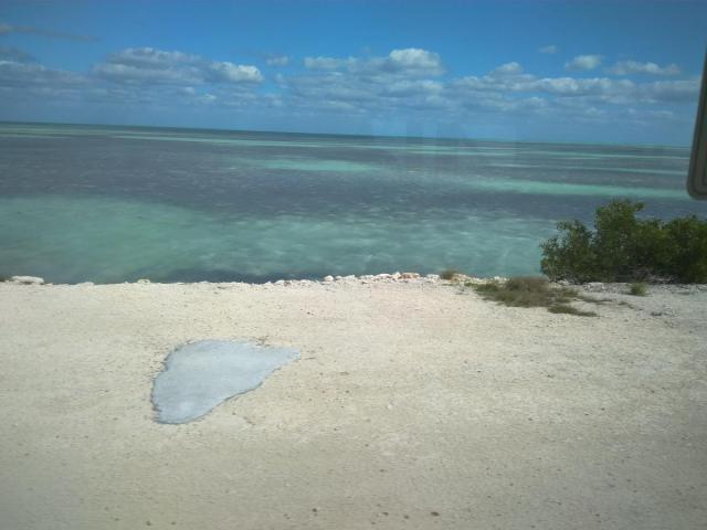 IMG_20200122_112208.jpg