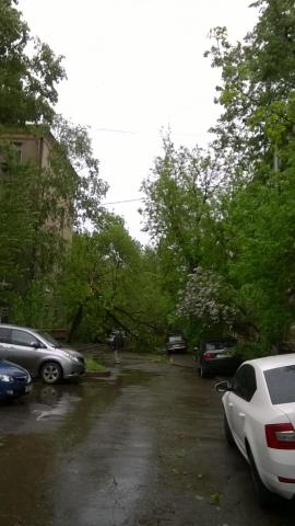 WP_20170529_006.jpg