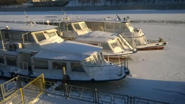 WP_20170205_003.jpg