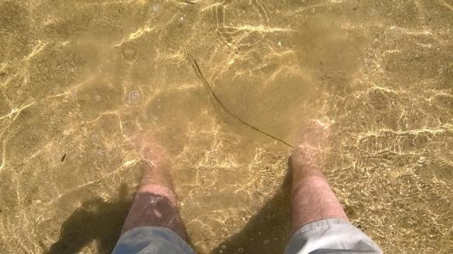 WP_20170429_003.jpg