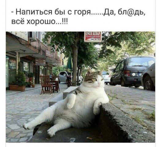 IMG-20170426-WA0003.jpg