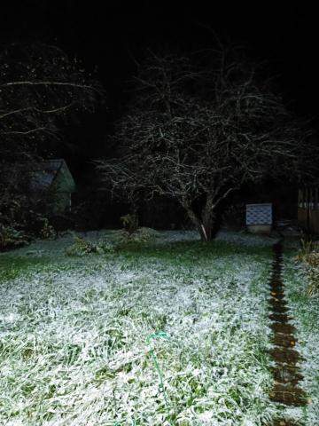 IMG_20251013_054839_587.jpg