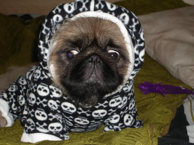 ханька.JPG