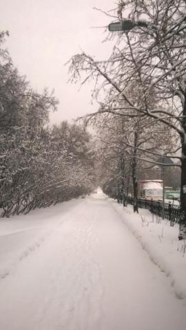 WP_20180204_008.jpg