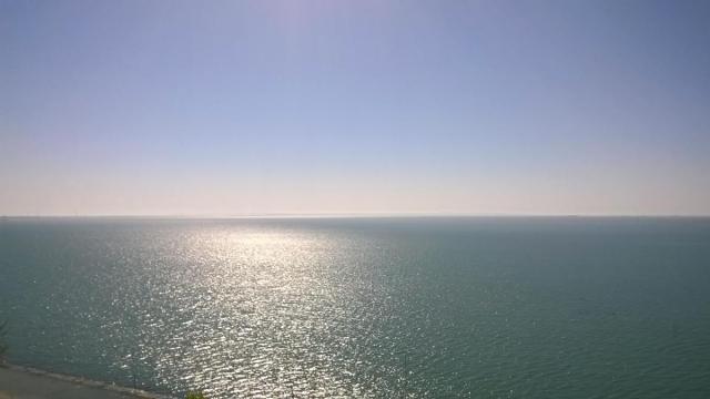 WP_20170429_001.jpg
