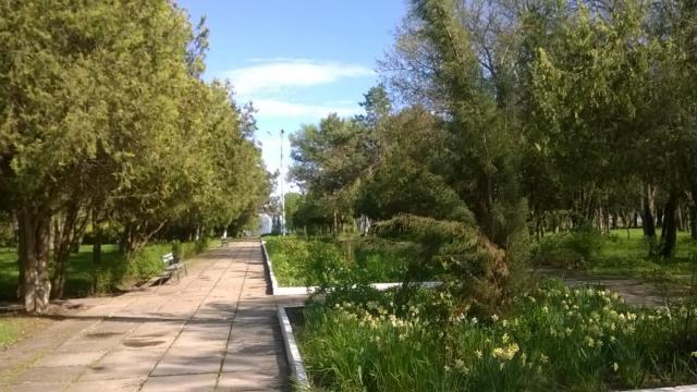 WP_20170425_017.jpg