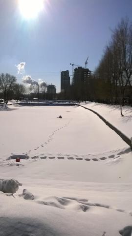 WP_20180318_004.jpg