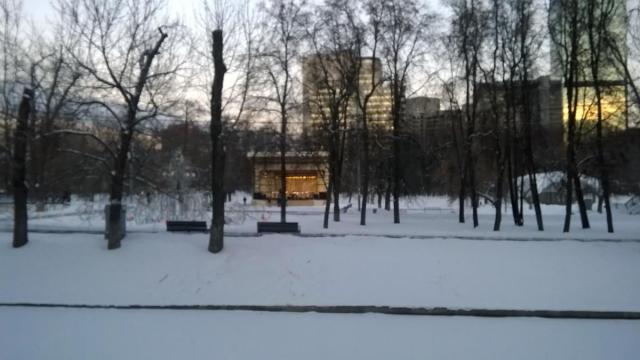 WP_20170107_008.jpg