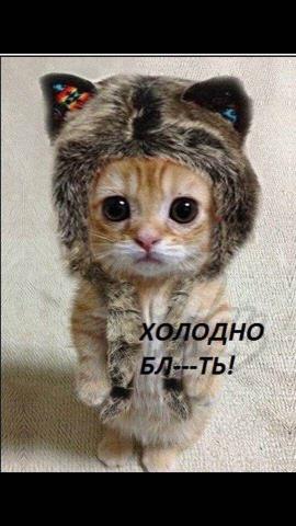 IMG-20180125-WA0001.jpg