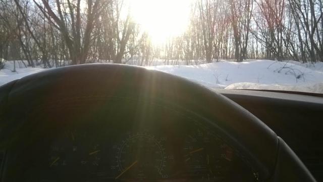 WP_20180329_003.jpg
