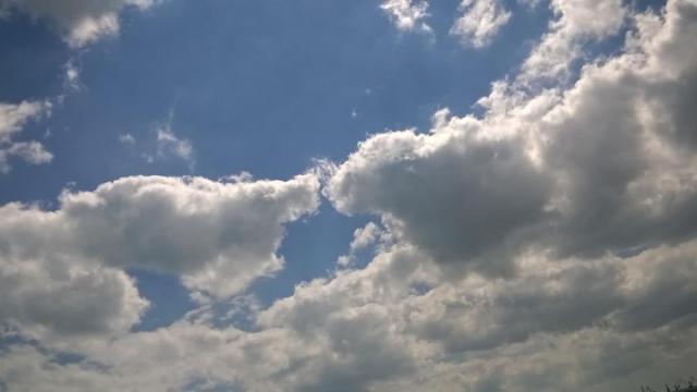 WP_20160428_017.jpg