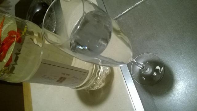 WP_20180112_006.jpg