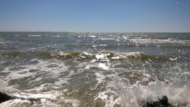 WP_20170426_001.jpg