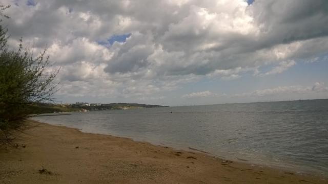 WP_20160422_009.jpg