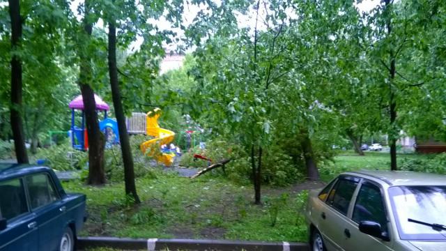 WP_20170529_007.jpg