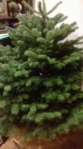 WP_20171223_013.jpg