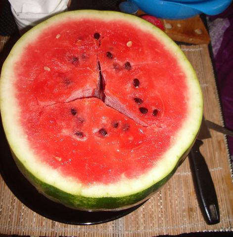 IMGP0516.JPG