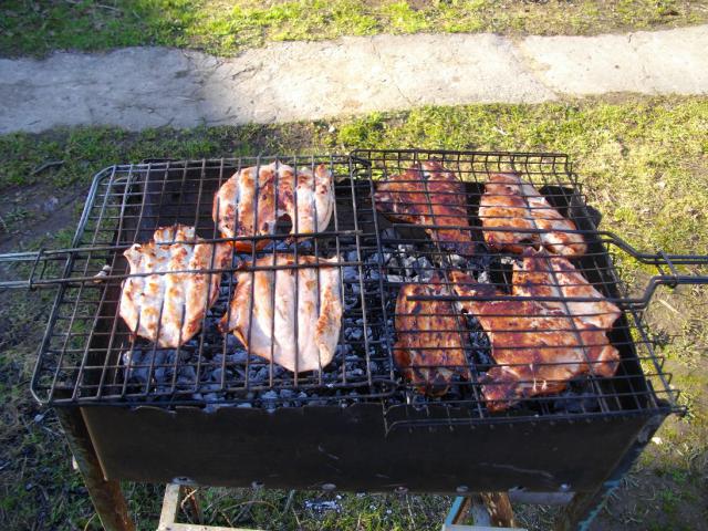 IMGP0229.JPG