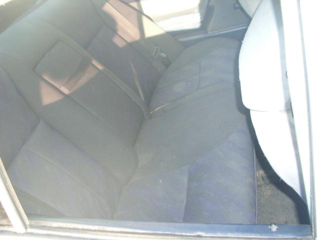 IMGP8977.JPG