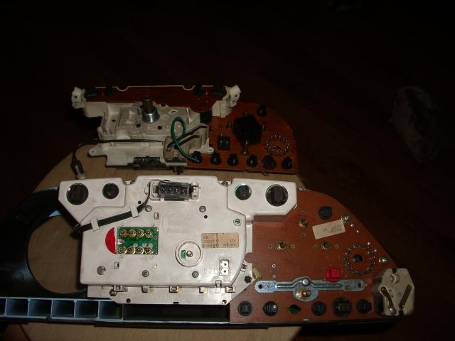 IMGP7558.JPG