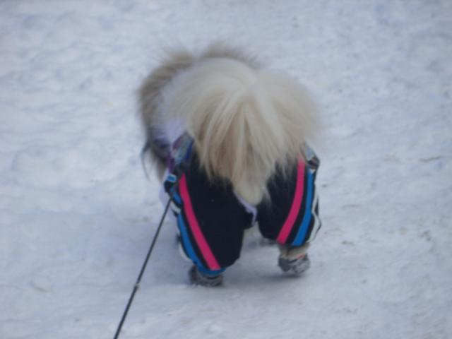 IMGP9303.JPG