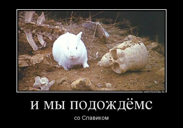 славику.jpg