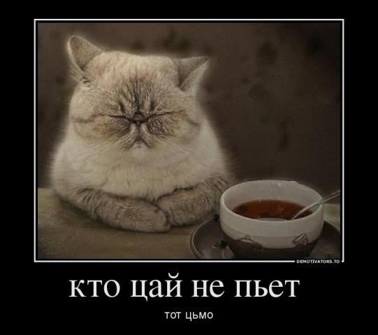 цьмо.jpg