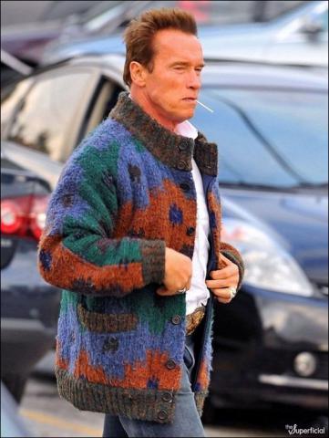 schwarzenegger_08.jpg