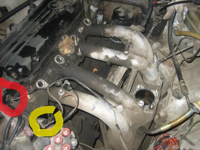 gallery_2735_220_333529.jpg