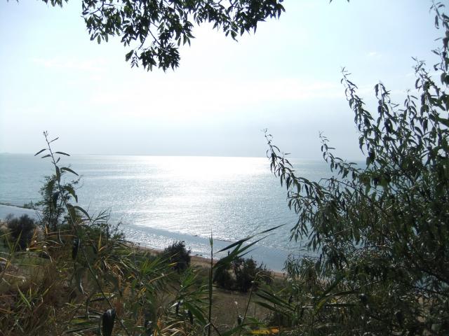 DSCF2372.JPG