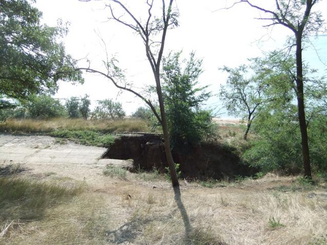 DSCF2375.JPG