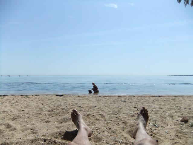 DSCF2311.JPG