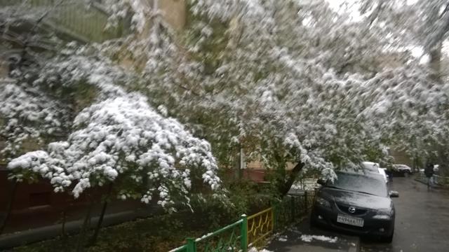 наконецпришлазима__3_.jpg