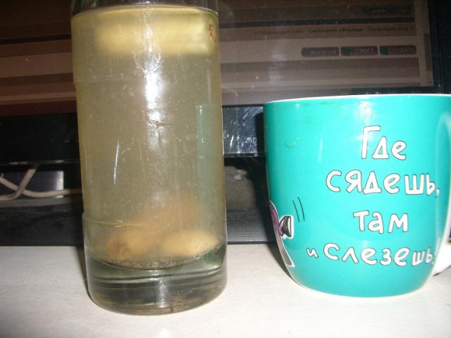 IMGP0315.JPG